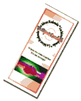 Hispanic RoundTable Folleto de membresia